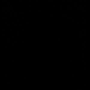 Meet your Posher, Tamia